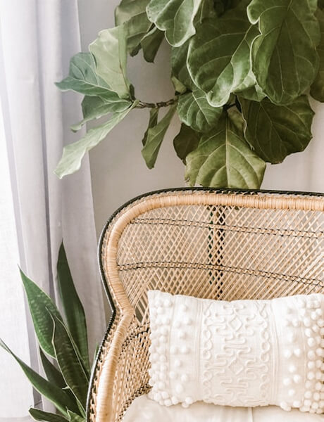 Casa – Decoración – Jardín