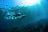 3h de randonnée palmée-snorkeling-chango diving à Villefranche-sur-Mer - ©3h de randonnée palmée-snorkeling-chango diving à Villefranche-sur-Mer