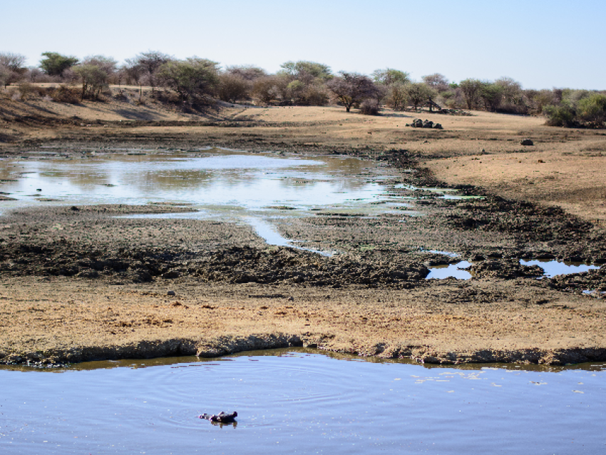 Agujero de agua - Parque Nacional de Etosha