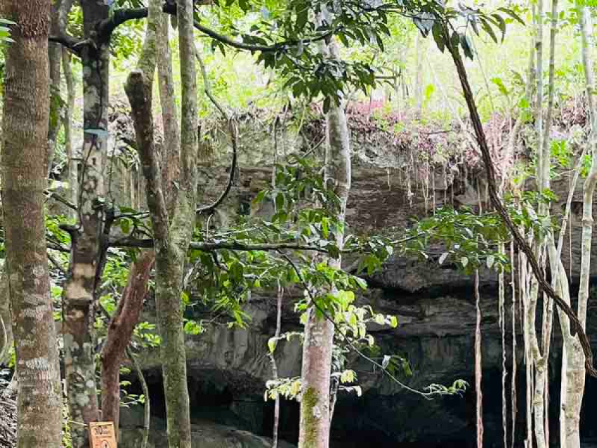 Un cenote perdido en la selva