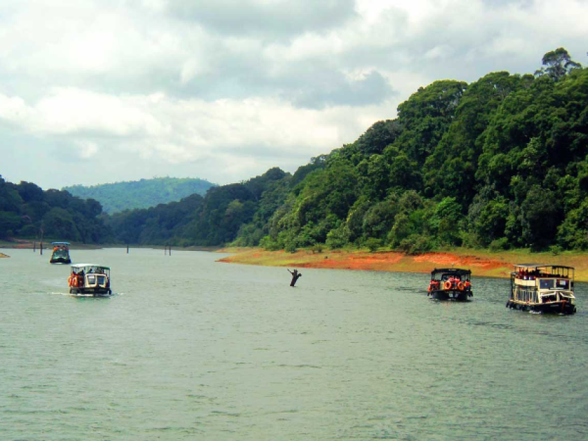 Paseo en barco por Periyar