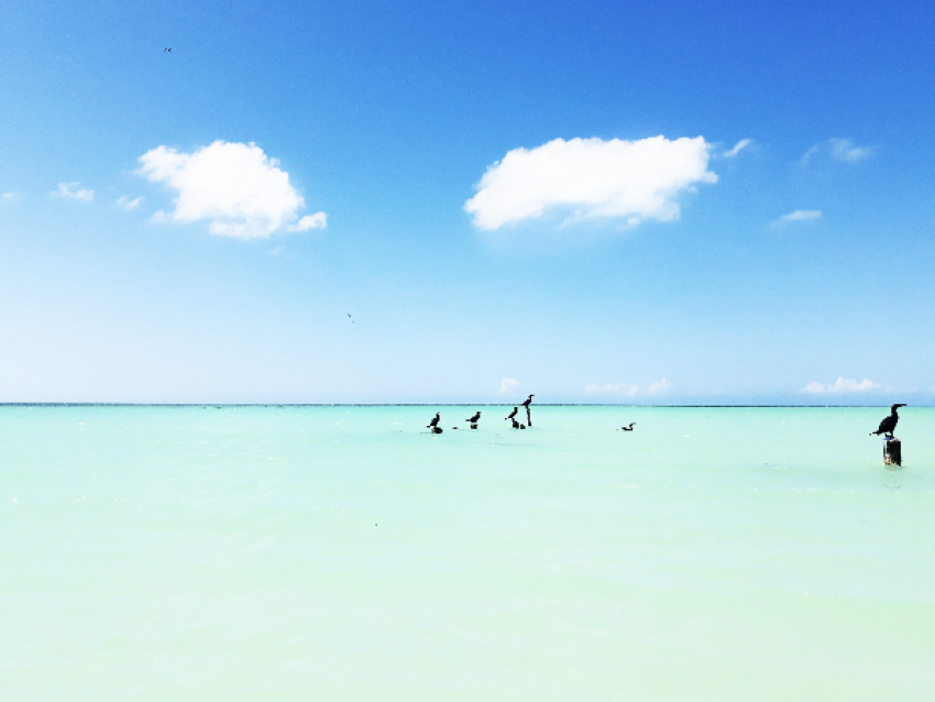 el paraíso de las islas del Caribe
