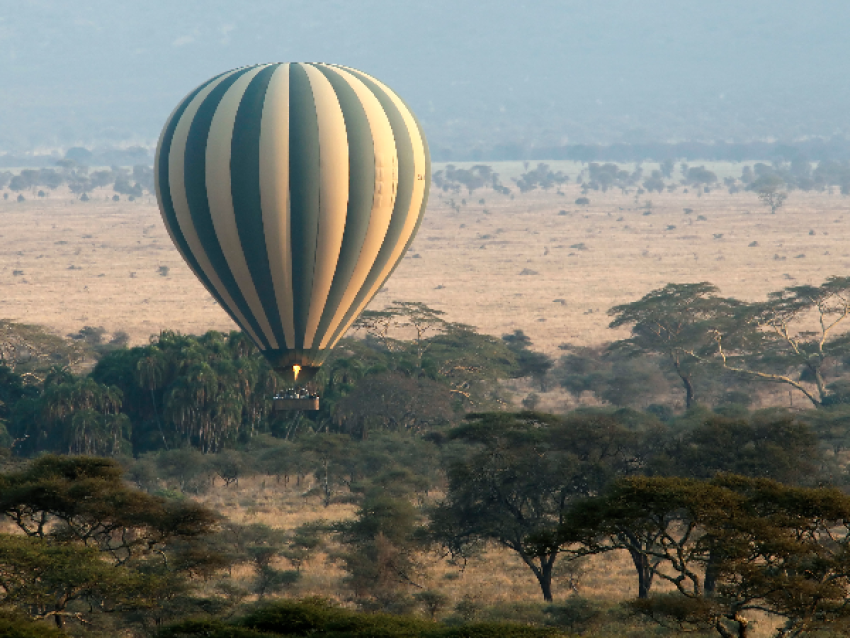 Safari en globo