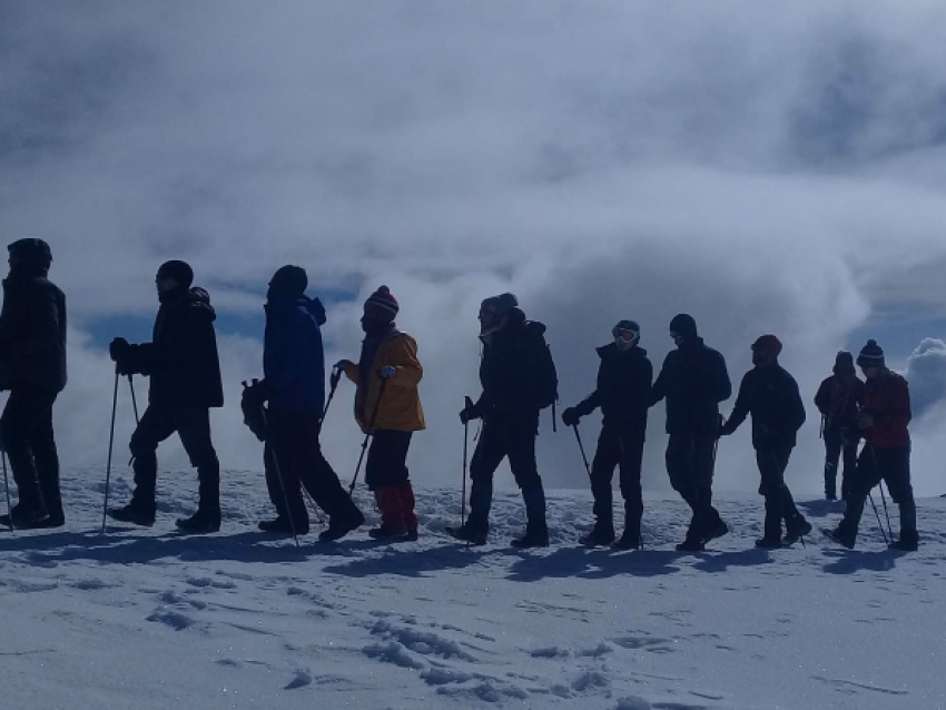kilimanjaro
