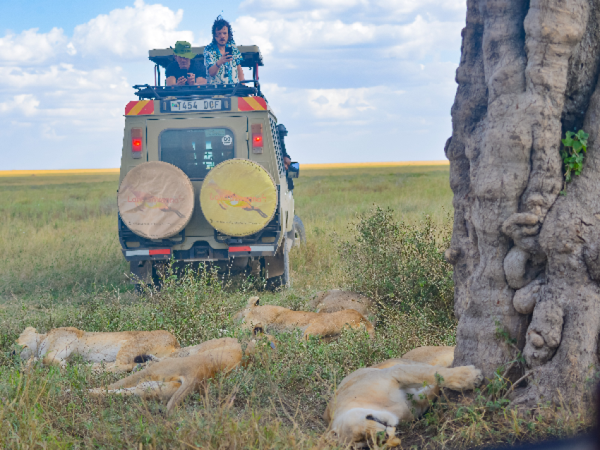 LLANURA DEL SERENGETI