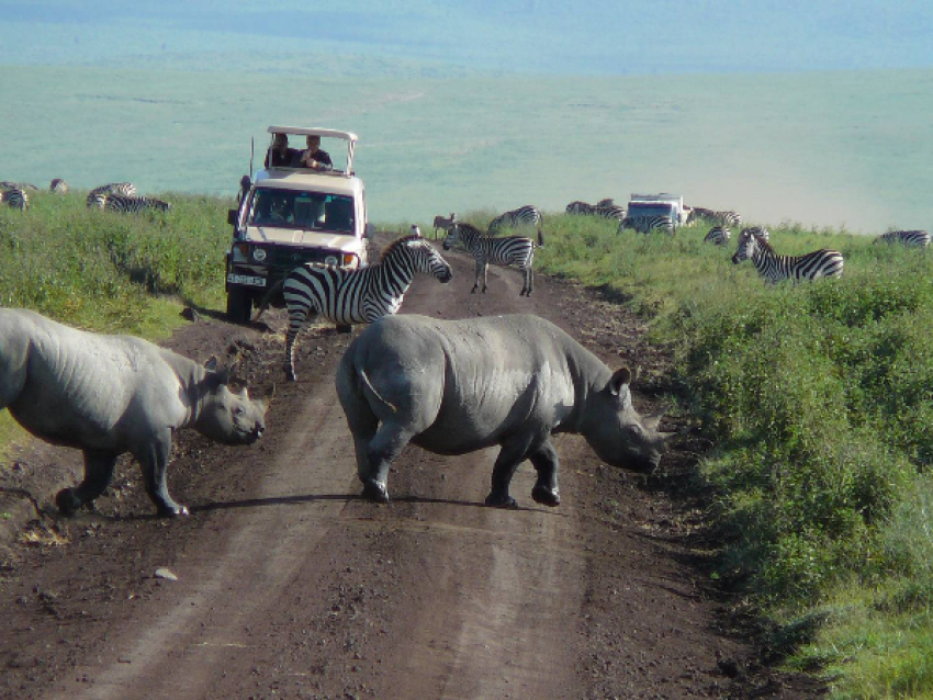 CRÁTER DEL NGORONGORO