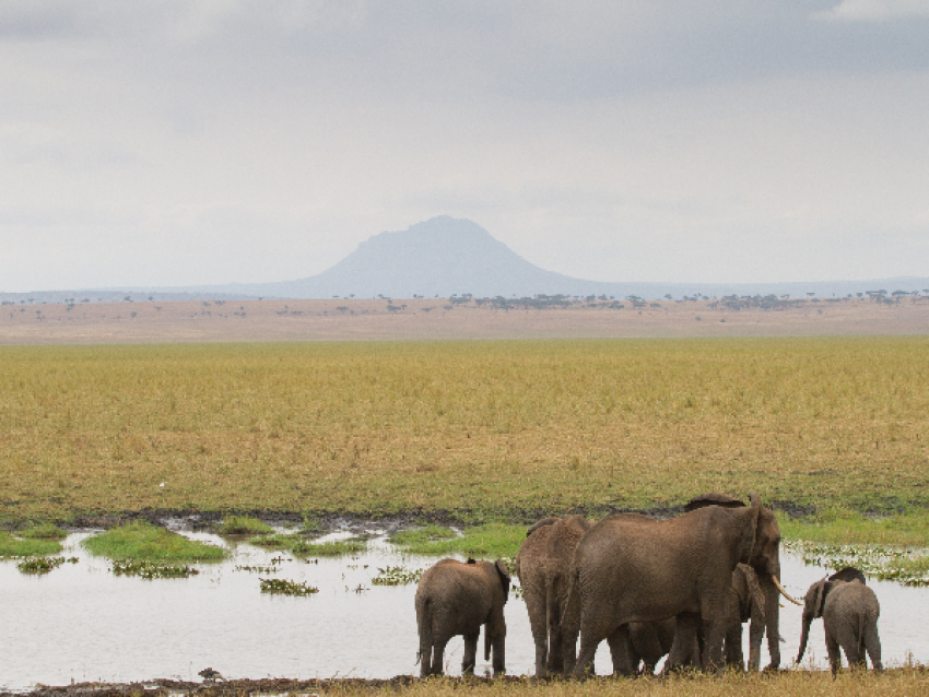 Parque Nacional de Tarangire