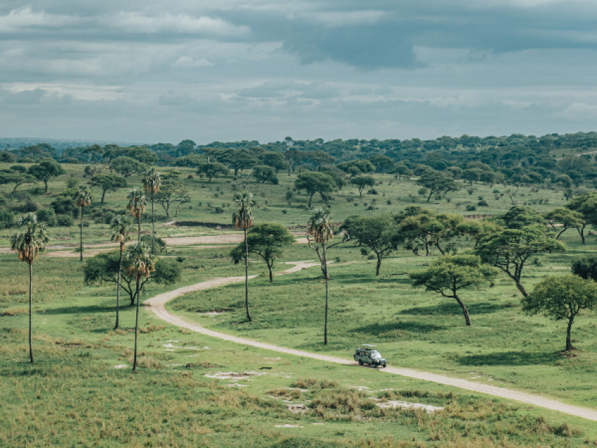Parque Nacional de Tarangire
