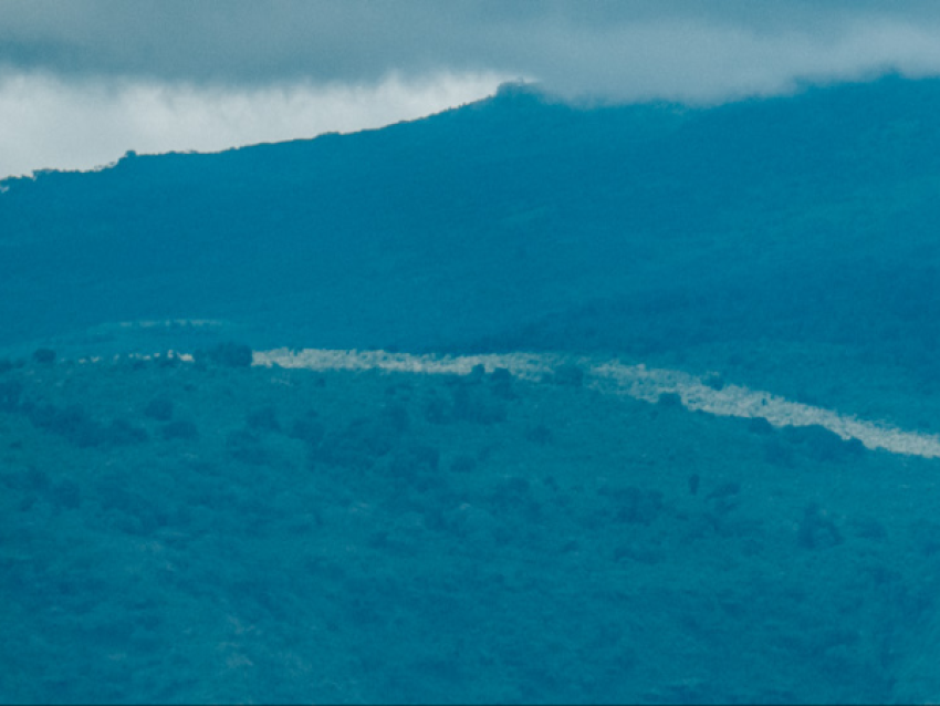 Cráter del Ngorongoro
