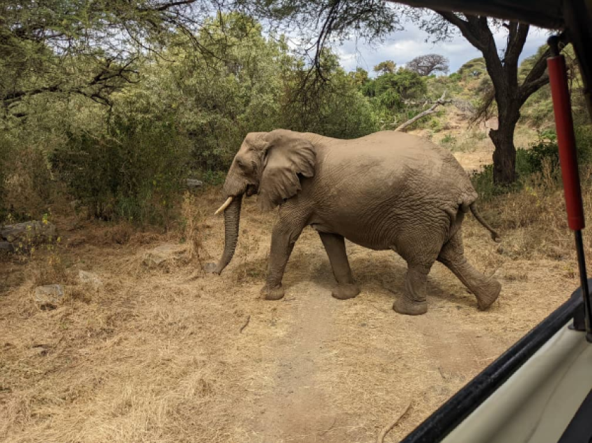 Biko Adventures Tours