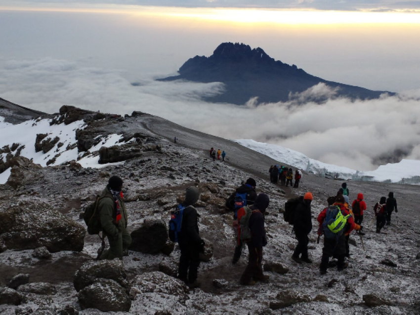 kilimanjaro