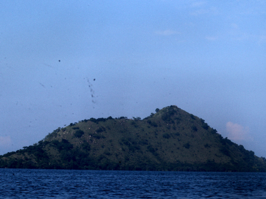 Isla de Napoleón-Lac Kivu