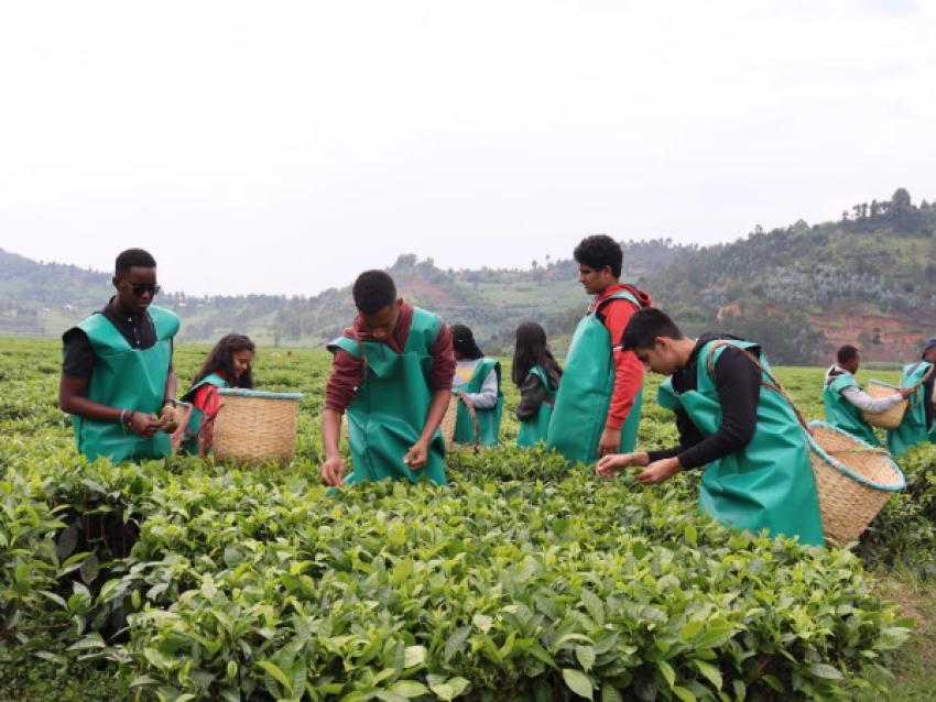 La experiencia del té