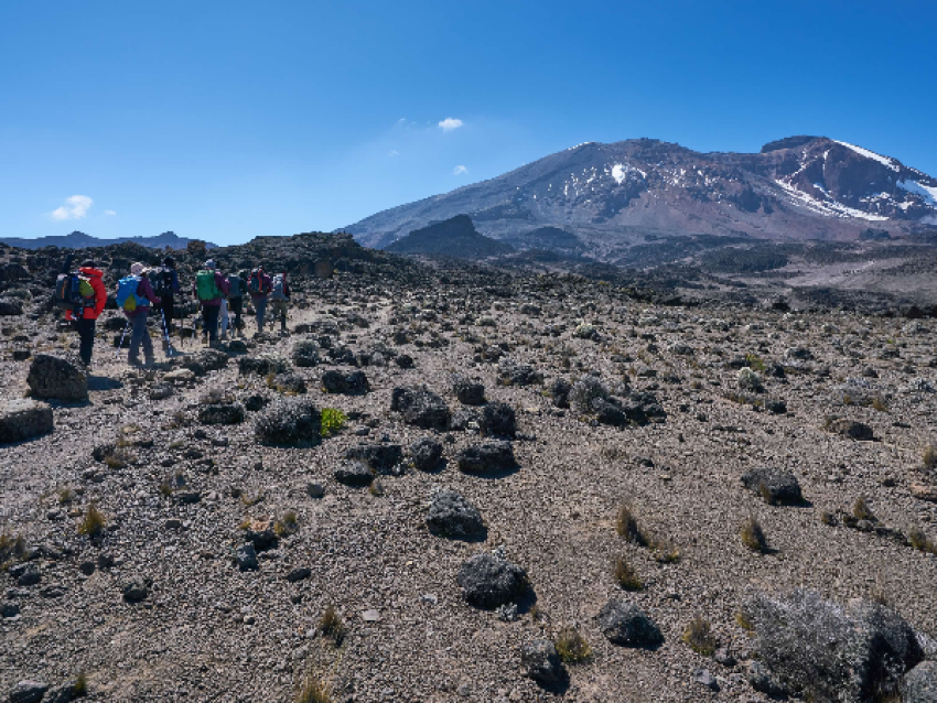 Kilimanjaro