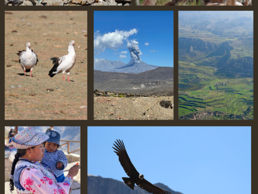 Cañón del Colca