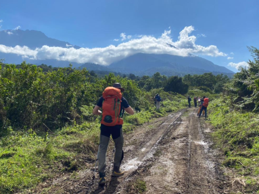 Kilimanjaro