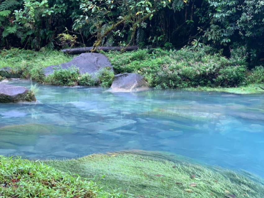 Río Celeste, Parque Nacional del Volcán Tenorio