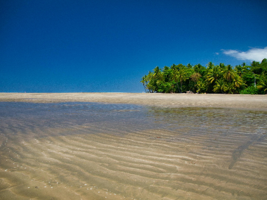 Uvita