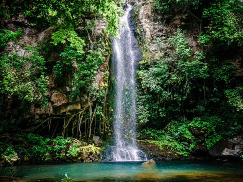 Cascada, Rincón de la Vieja