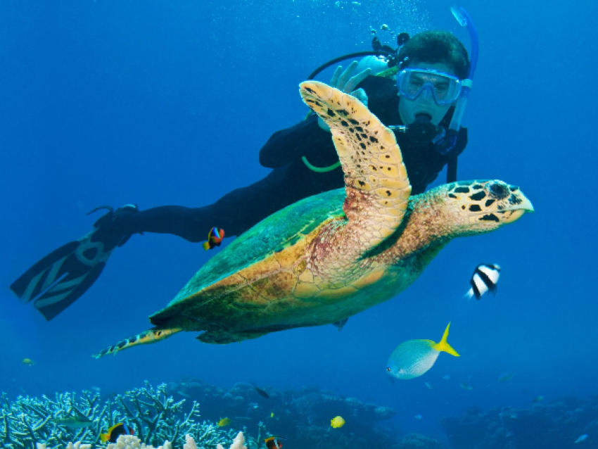 Islas Lakshadweep